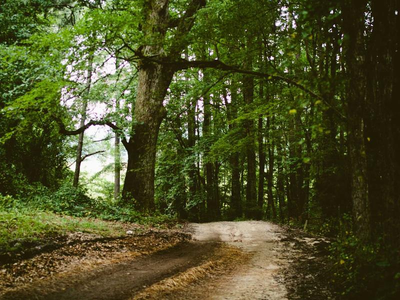 sudoku solving methods screenshot 4